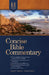 Holman Concise Bible Commentary by David S. Dockery
