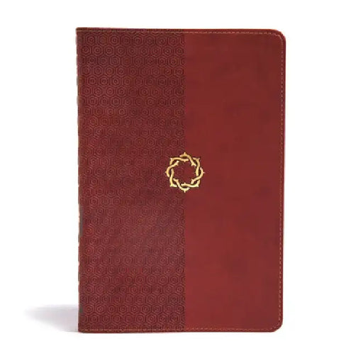 CSB Essential Teen Study Bible, Walnut Leathertouch by B&h Kids Editorial