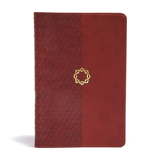 CSB Essential Teen Study Bible, Walnut Leathertouch by B&h Kids Editorial