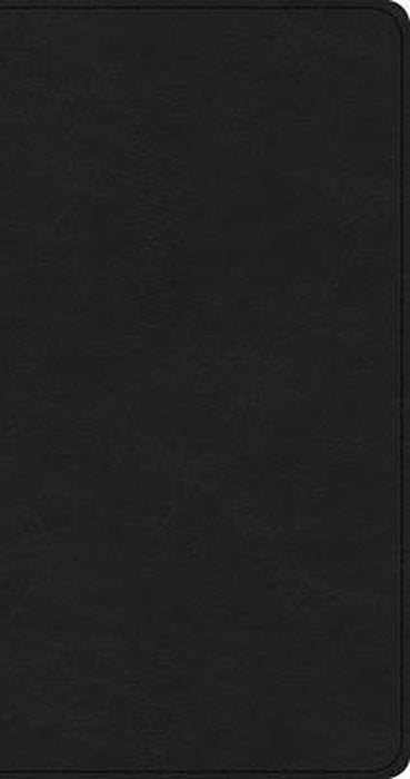 CSB Share Jesus Without Fear New Testament, Brown Leathertouch by Csb Bibles by Holman