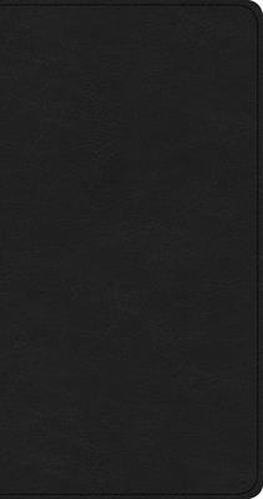 CSB Share Jesus Without Fear New Testament, Brown Leathertouch by Csb Bibles by Holman