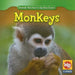 Monkeys by Julie Guidone
