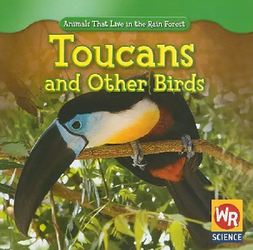 Toucans and Other Birds by Julie Guidone