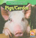 Pigs / Los Cerdos by JoAnn Early Macken