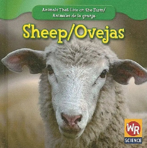 Sheep / Las Ovejas by JoAnn Early Macken
