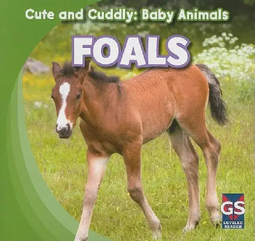 Foals by Grace Elora