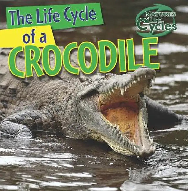 The Life Cycle of a Crocodile by Barbara M. Linde