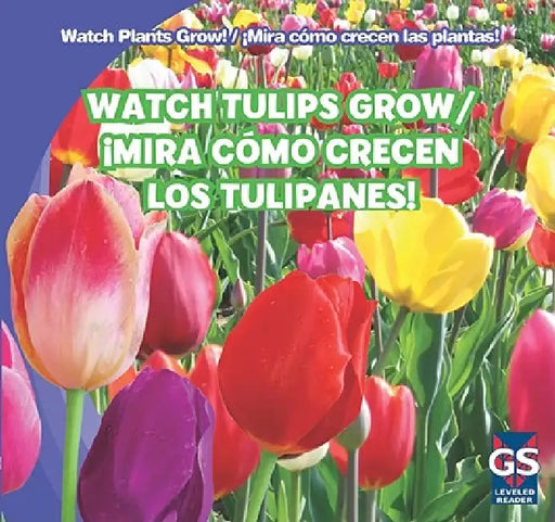 Watch Tulips Grow / ¡Mira Cómo Crecen Los Tulipanes! by Kristen Rajczak Nelson