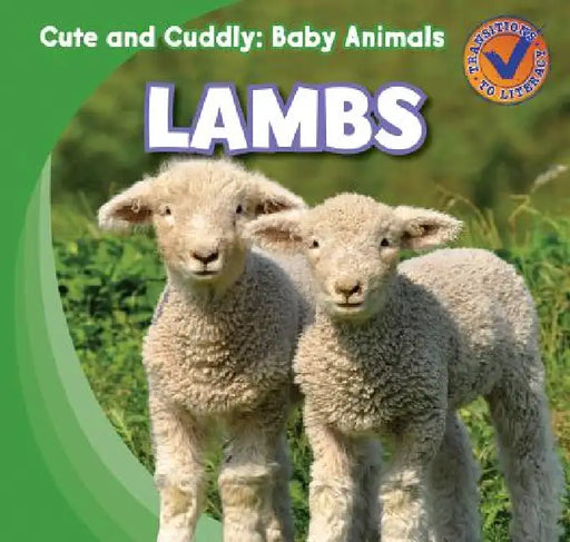 Lambs by Katie Kawa