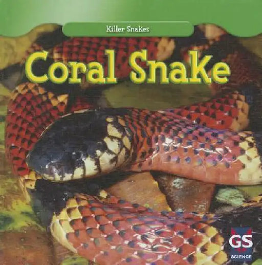 Coral Snake by Jamie Honders