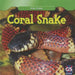 Coral Snake by Jamie Honders
