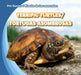 Terrific Turtles/Tortugas Asombrosas by Rose Carraway