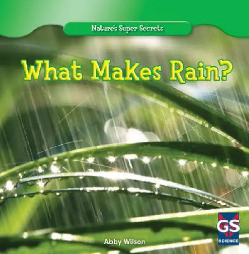 What Makes Rain? by Annmarie Wilson