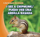 I See a Chipmunk / Puedo Ver Una Ardilla Rayada by Alex Appleby