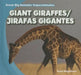Giant Giraffes/Jirafas Gigantes by Ryan Nagelhout