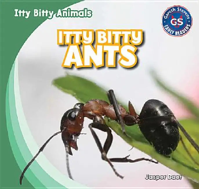 Itty Bitty Ants by Jasper Baer