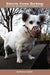 Strictly Come Barking: Life Among the Dog People of Paddington Rec by Anthony Linick