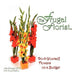 The Frugal Florist: Do-It-Yourself Flowers on a Budget by John Klingel Aifd, Susan Baker