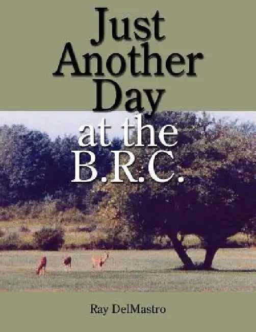 Just Another Day at the B.R.C. by Ray Delmastro