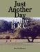 Just Another Day at the B.R.C. by Ray Delmastro
