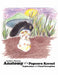 Anatomy of a Popcorn Kernel: Exploration Into Visual Perception by Cynthia L. Hureston