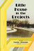 Little House in the Projects by Carole J. Brennen