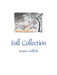 Fall Collection by Jacques Dabbah