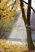 My Thoughts Your Thoughts by Sharon Sommers