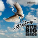Flying with Big Birds by DD Lewis
