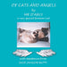 Of Cats and Angels: by Mr d'Arcy - a very special Birman Cat by Susie Jackson Batty