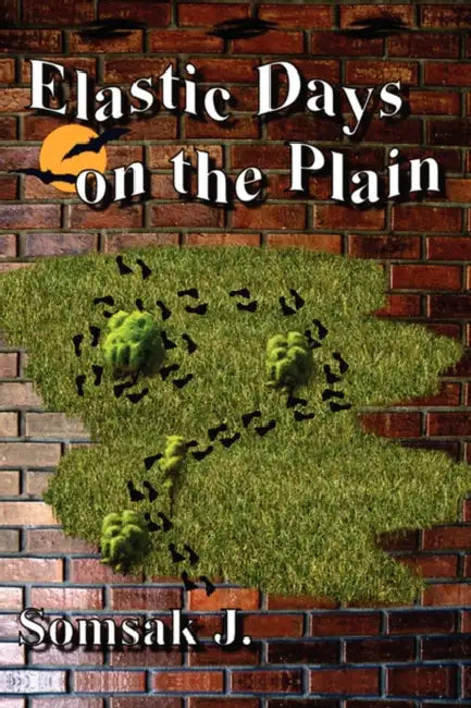 Elastic Days on the Plain by J. Somsak J.