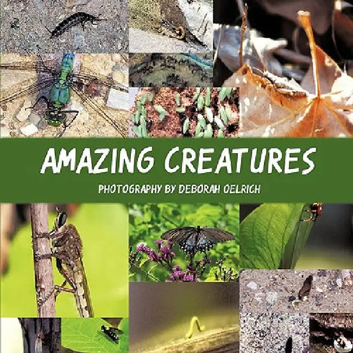 Amazing Creatures by Deborah Oelrich
