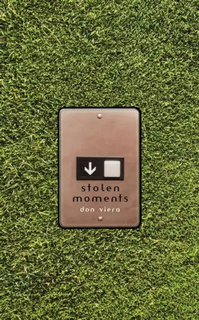 Stolen Moments by Don Viera