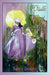Walk With Me by Nancy Healey