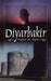 Diyarbakir by Stephen M. Taylor