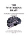 The Mysterious Brain: The World's Oldest Information Processor by Salvatore Amoroso