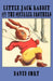 Little Jack Rabbit and the Squirrel Brothers by David Cory