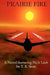 Prairie Fire: A Novel - Featuring Nick Lash by T. R. Sean