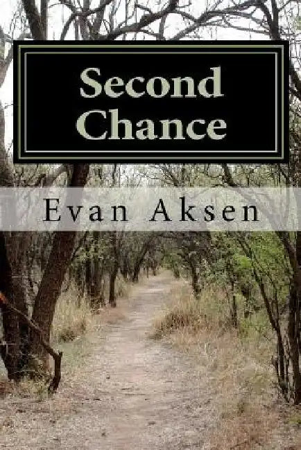 Second Chance: Dreams Come True ->In A Second Lifetime by Evan Aksen