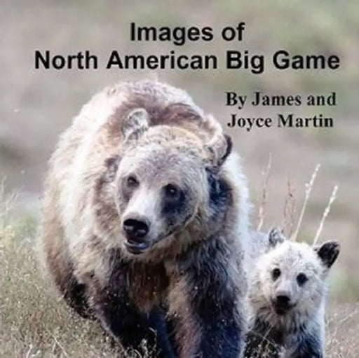 Images of North American Big Game by Joyce Martin