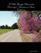 A Walk Through Nature at the University's Arboretum in Davis, California by Carol L. Chandler