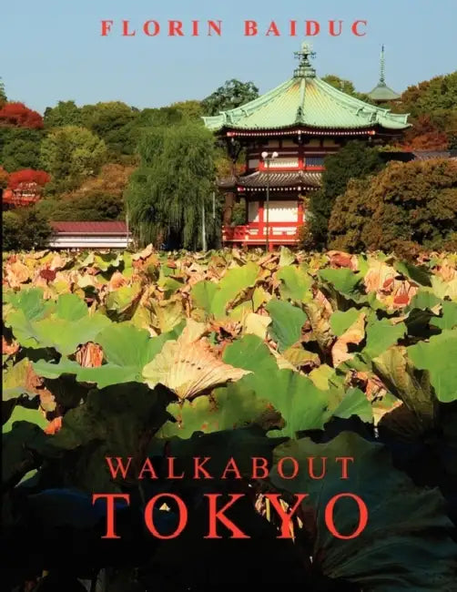 Walkabout Tokyo by Florin Baiduc