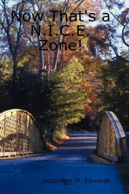 Now That's a N.I.C.E. Zone! by Jacqueline M. Edwards