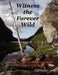 Witness the Forever Wild, A Guide to Favorite Hikes around the Adirondack High Peaks by Clifford Reiter