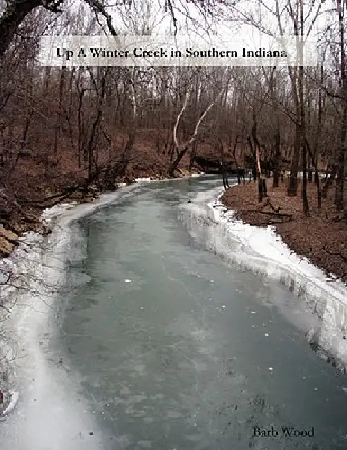 Up A Winter Creek in Southern Indiana by Barb Wood