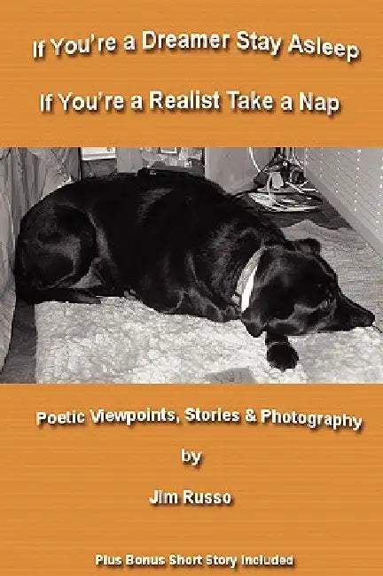 If You're a Dreamer Stay Asleep If You're a Realist Take a Nap by Jim Russo