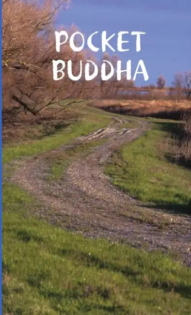 Pocket Buddha by Frank Machovec