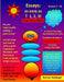 Essays as easy as T 1, 2, 3! Home School Edition by Bonnie Holzinger