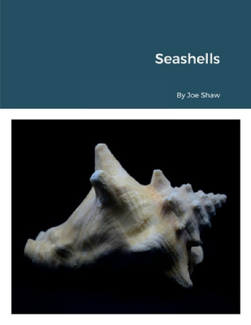 Seashells by Joe Shaw