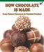 How Chocolate Is Made: From Natural Resource to Finished Product by Kerri O'Donnell
